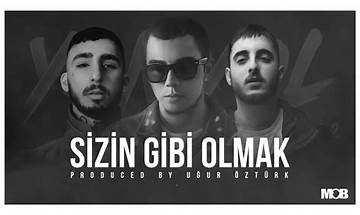 Sizin Gibi Olmak tr Lyrics [Vio]